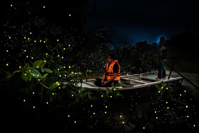 Fireflies by the river in the forest of Borneo
