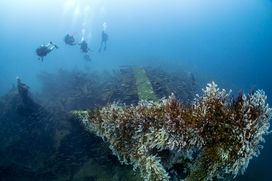 Usukan wreck Bigfin divers Kota Belud Sabah